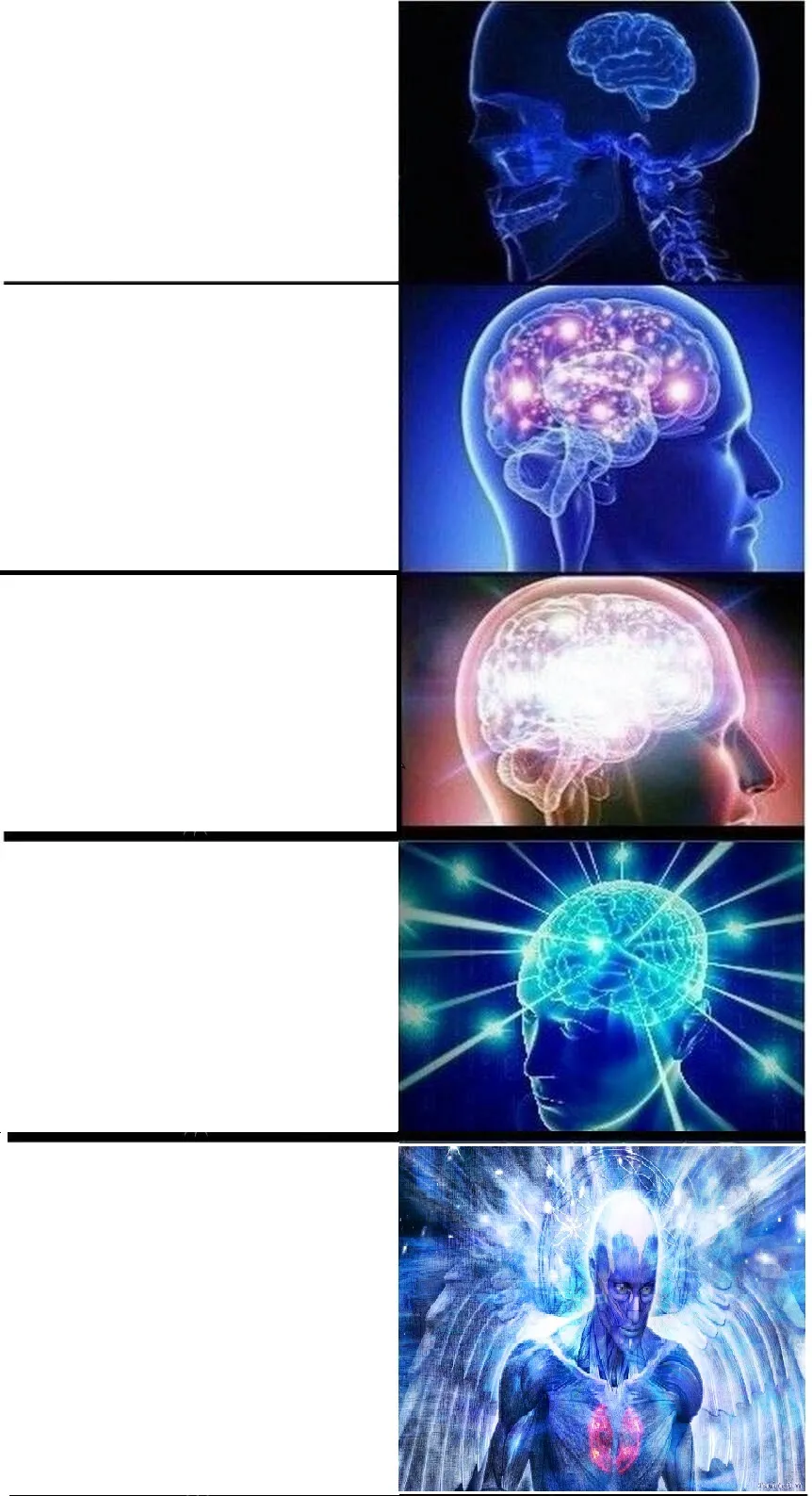 Expanding Brain 5-Part 