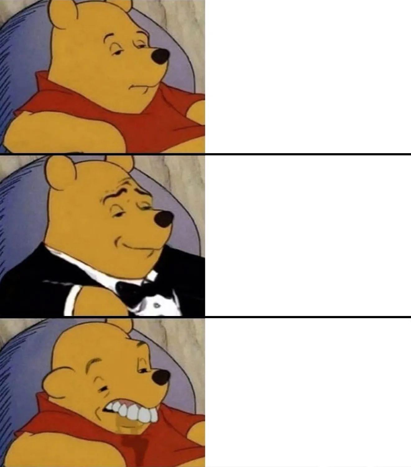 Fancy Winnie the Pooh - Smart,Gentlemen and Dumb 