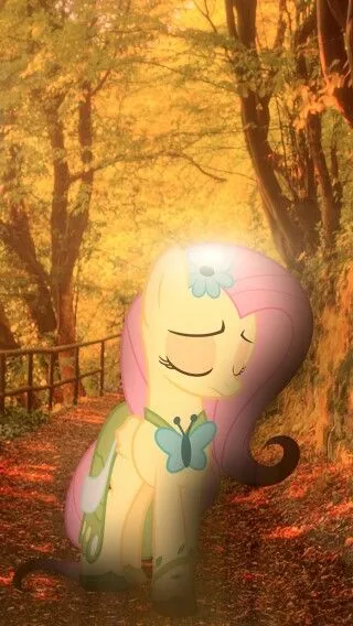 First World Problems Fluttershy 