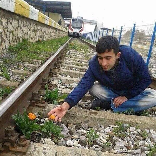 Flower Train Man 