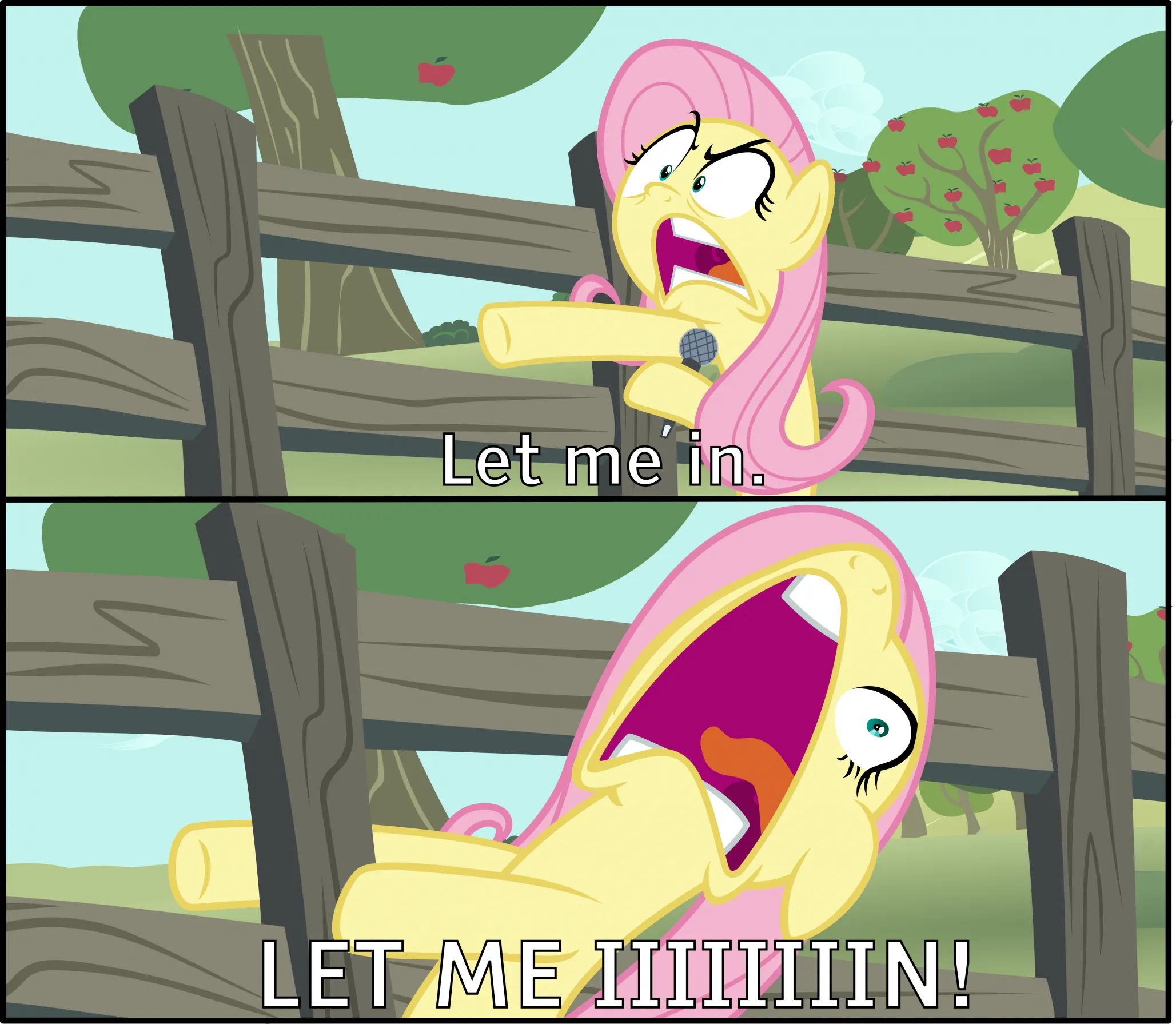 Fluttershy "Let Me In!" 