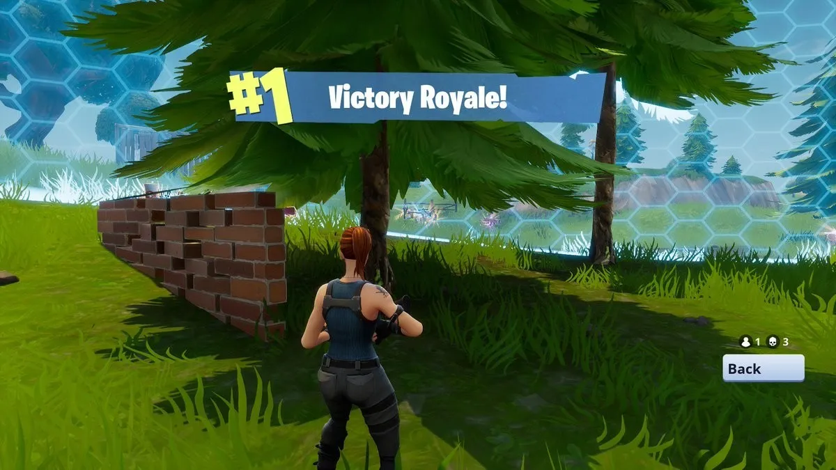 Fortnight victory royale 