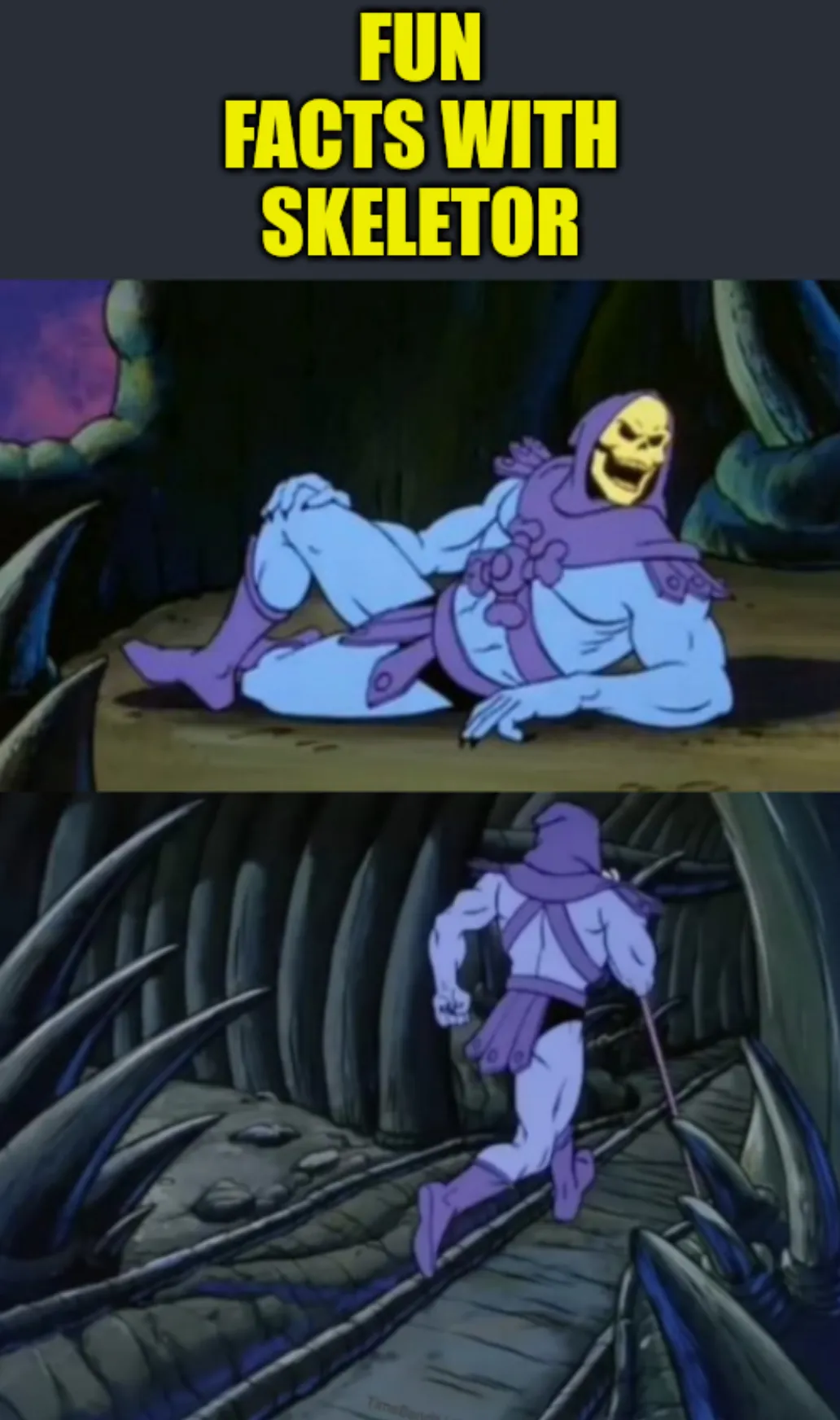 Fun facts with skeletor 