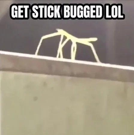 Get stick bugged lol 