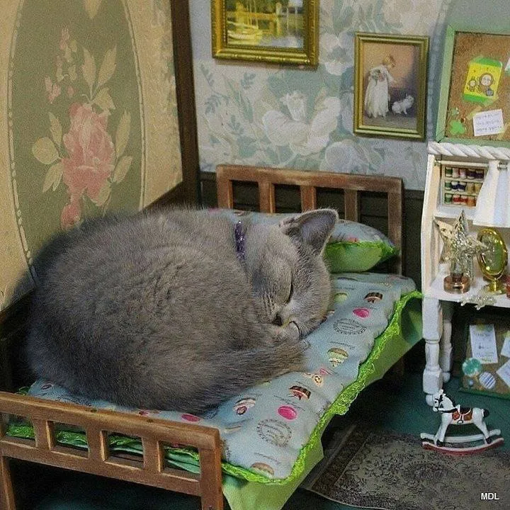 Giant cat in bed 