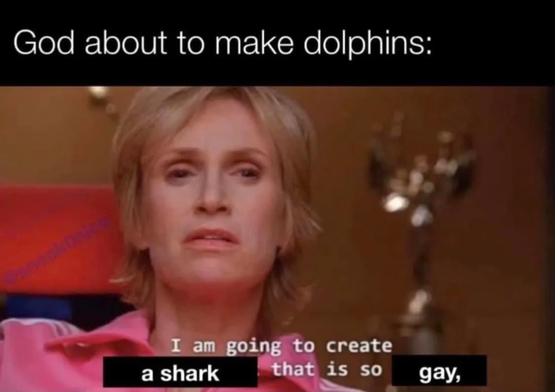 God about to make dolphins 