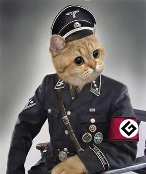 Grammar Nazi Cat 