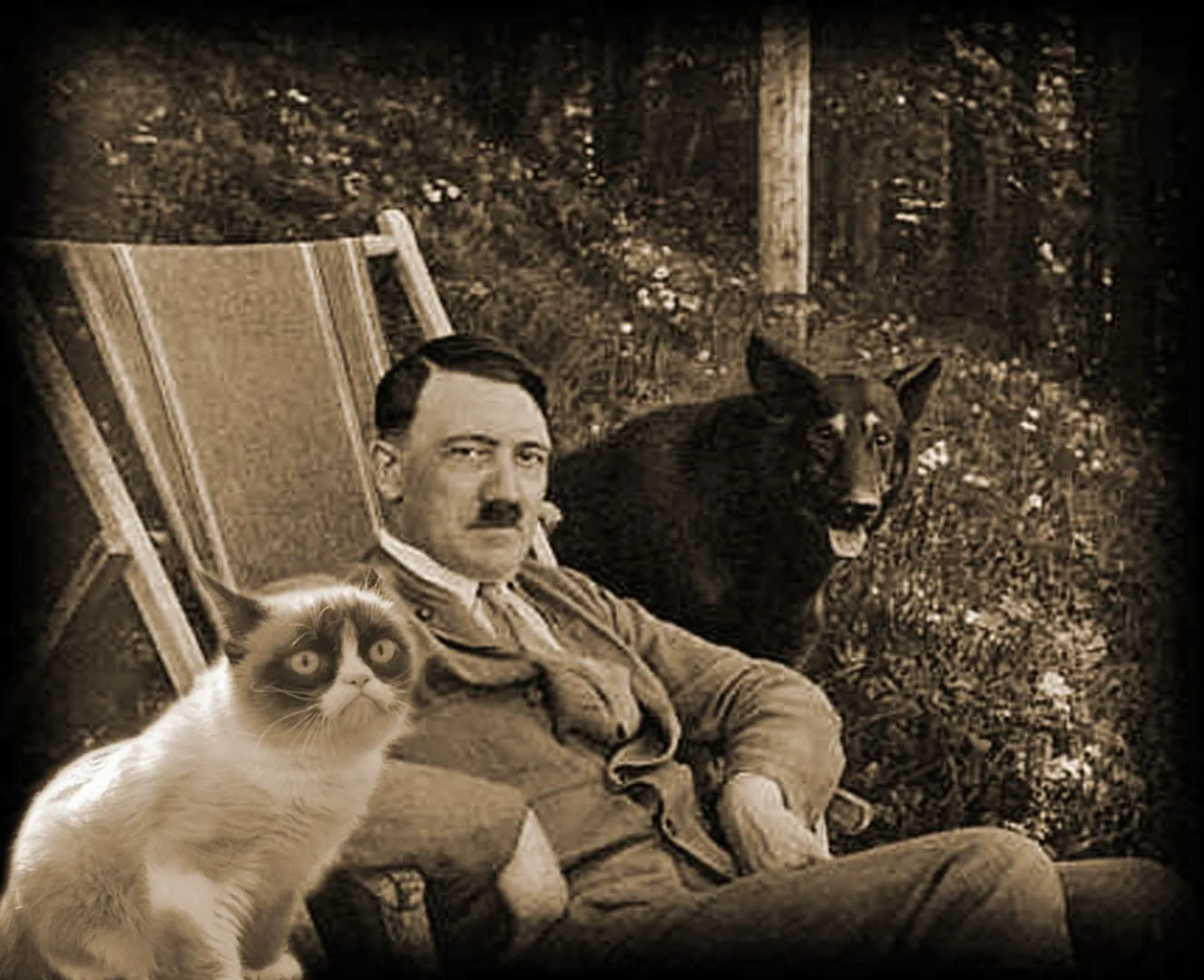 Grumpy Cat with Hitler 