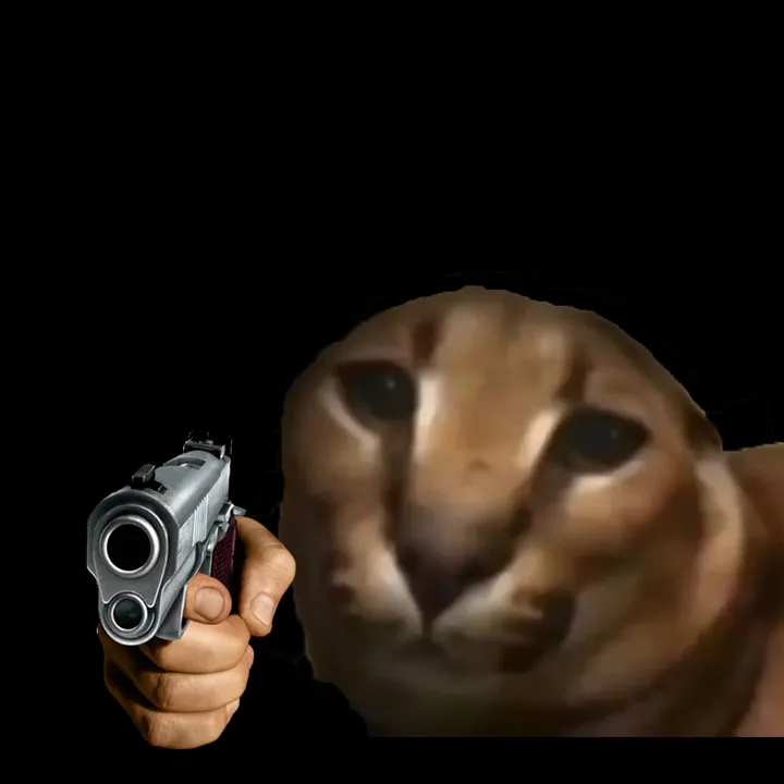 HERE YOU GO 