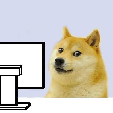 Hacker Doge 