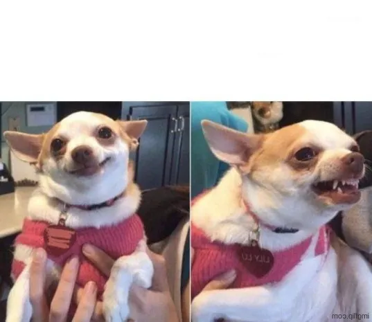 Happy Dog Then Angry Dog 
