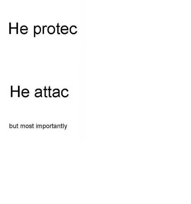 He protec he attac but most importantly 