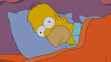 Homer Can't Sleep 