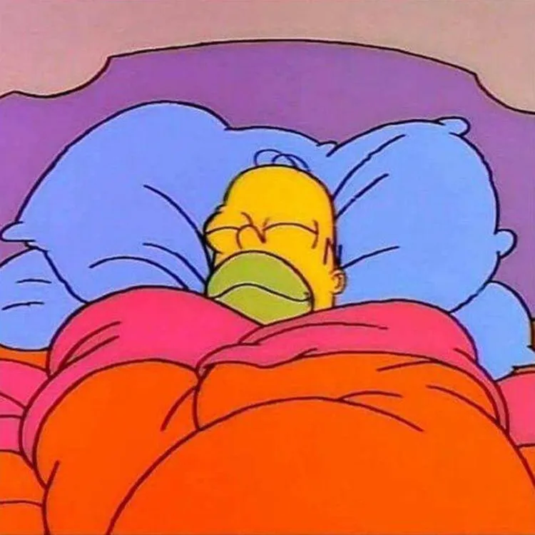 Homer Napping 