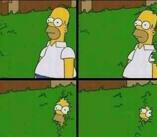 Homer Simpson Nope 