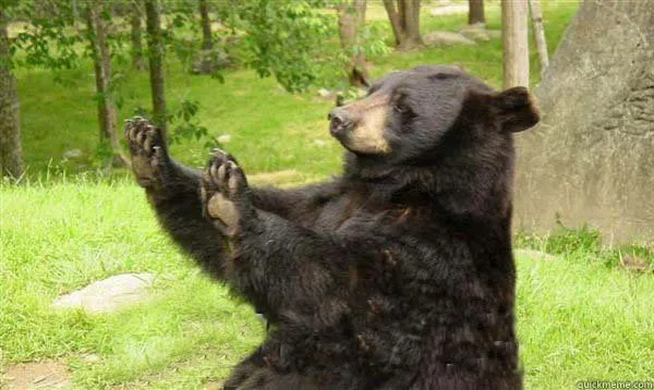 How about no bear 