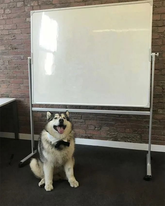 How to be a good boy 