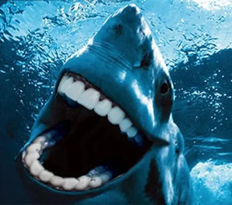 Human teeth shark 