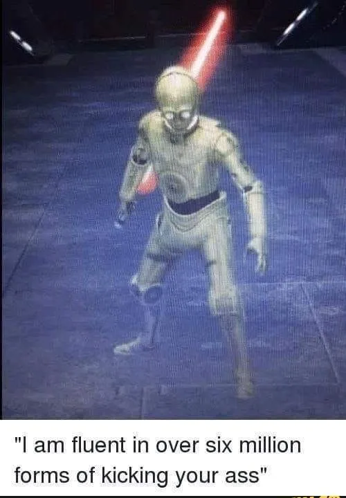 I Am Fluent In Over Six Million Forms Of Kicking Your Ass 