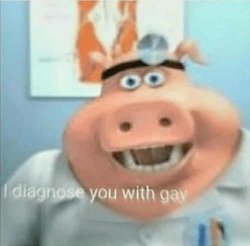 I diagnose you with gay 