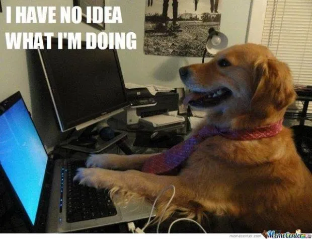 I have no idea what i'm doing dog 