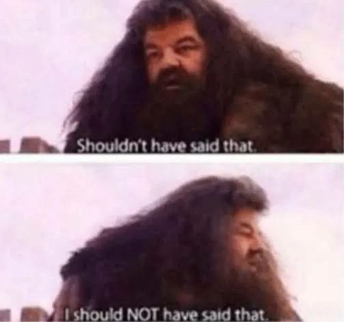 I should NOT have said that 