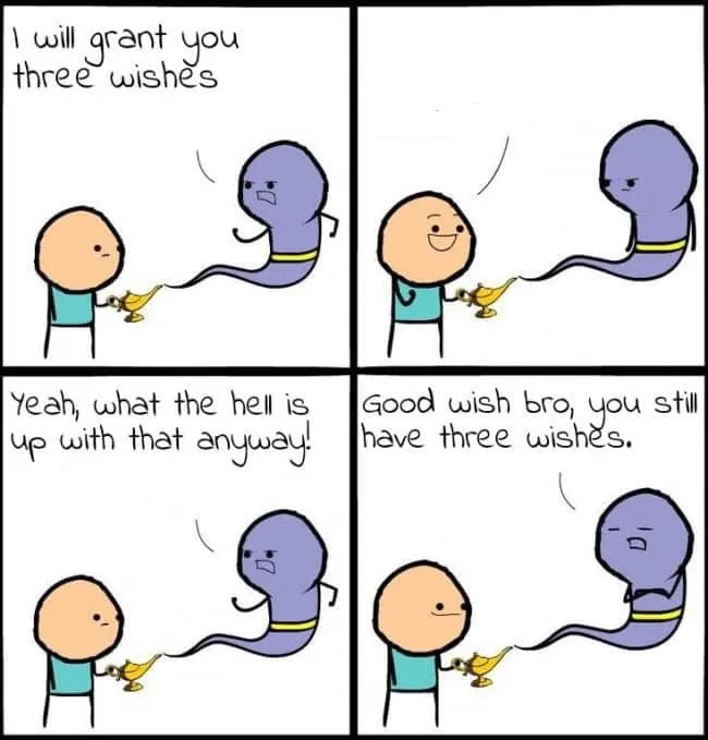 I will grant you three wishes 