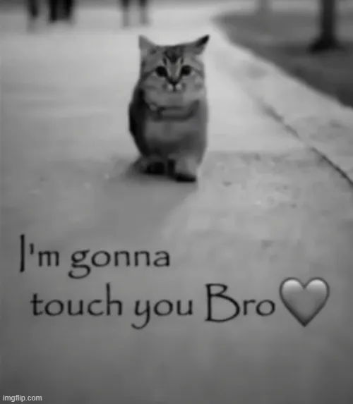 I'm gonna touch you bro