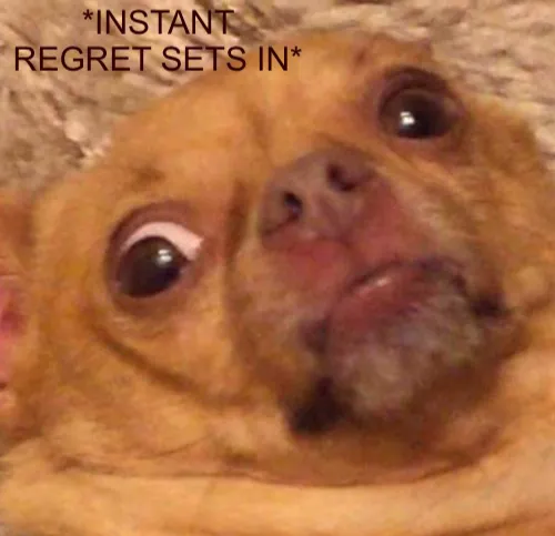 Instant regret sets in 