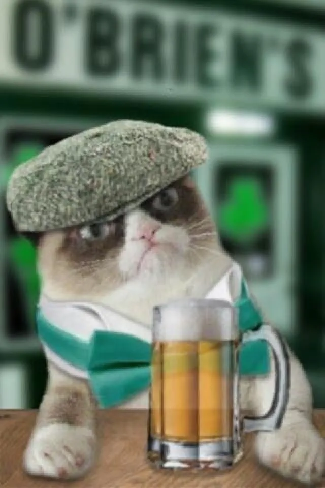 Irish Grump Cat 