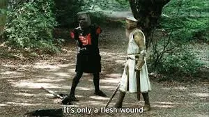 It's Just a Flesh Wound 