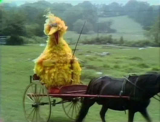 It's Taco Tuesday. We ride at dawn bitches 