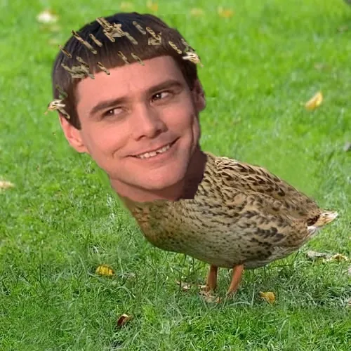 Jim Carreduck 