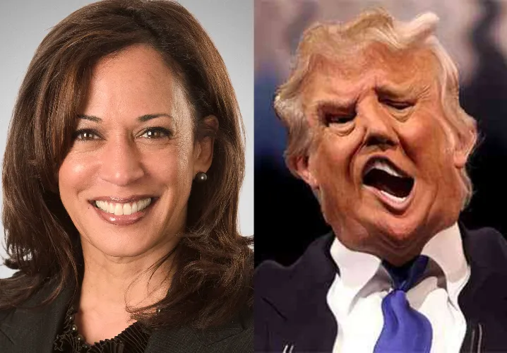 Kamala Harris sane, Donald Trump crazy on acid