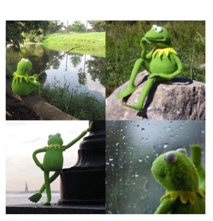 Kermit PTSD 