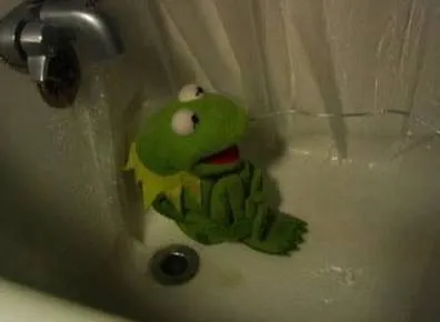 Kermit Shower 