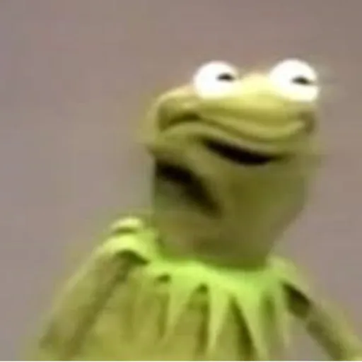 Kermit The Frog Cringing 
