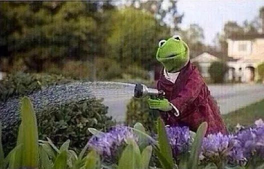 Kermit Watering Plants 