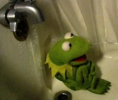 Kermit on Shower 
