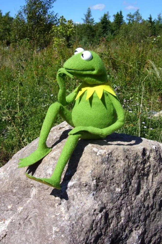 Kermit-thinking 