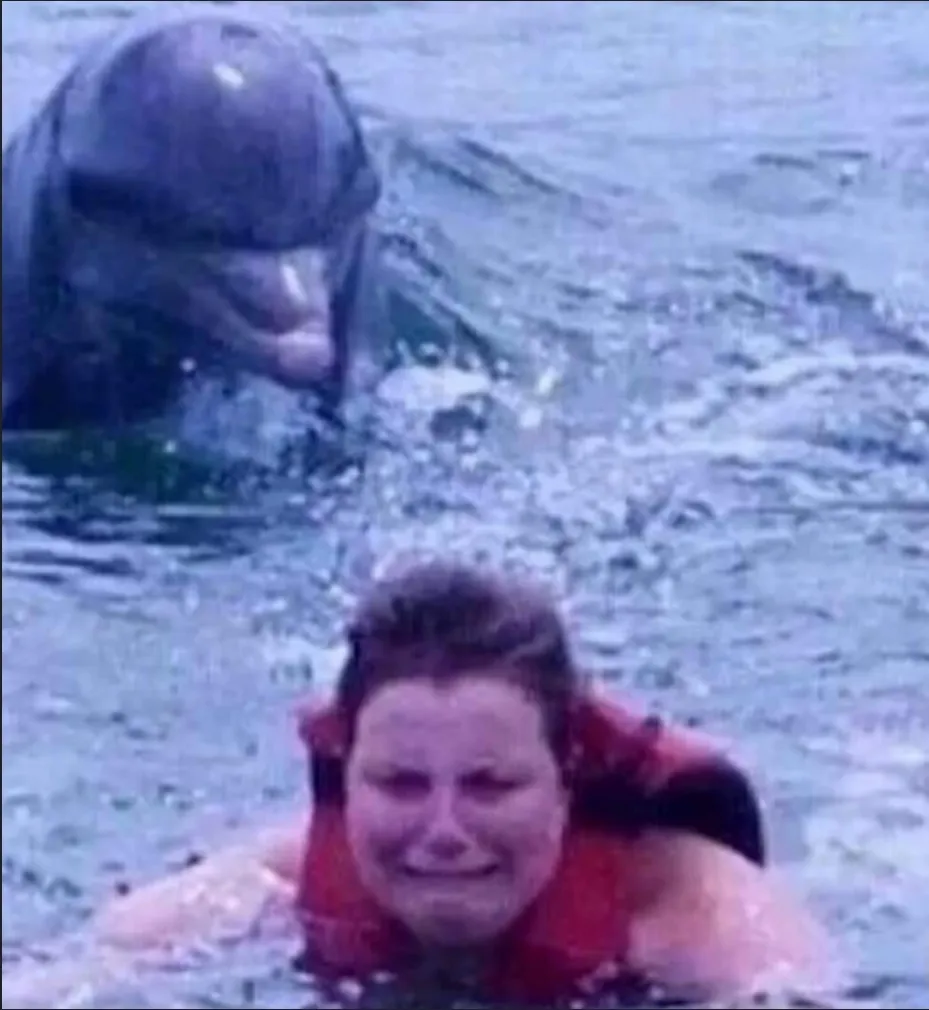 Kid fears dolphins 
