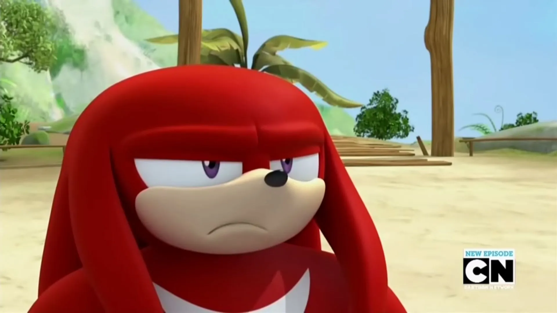 Knuckles is not Impressed - Sonic Boom 