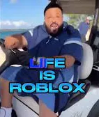 Life is Roblox