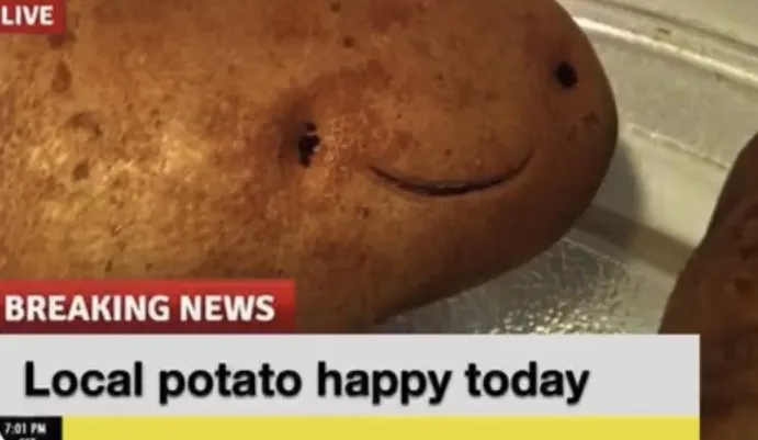 Local Potato happy today 