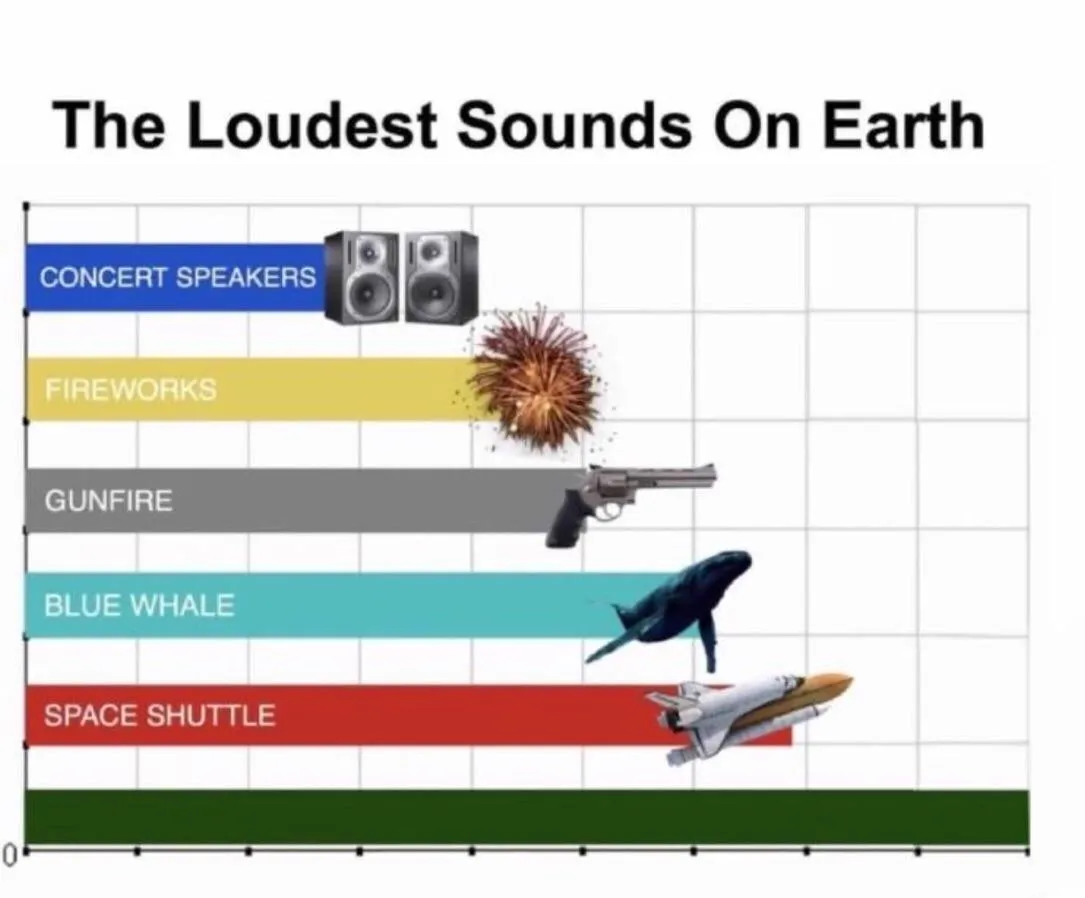 Loudest things 
