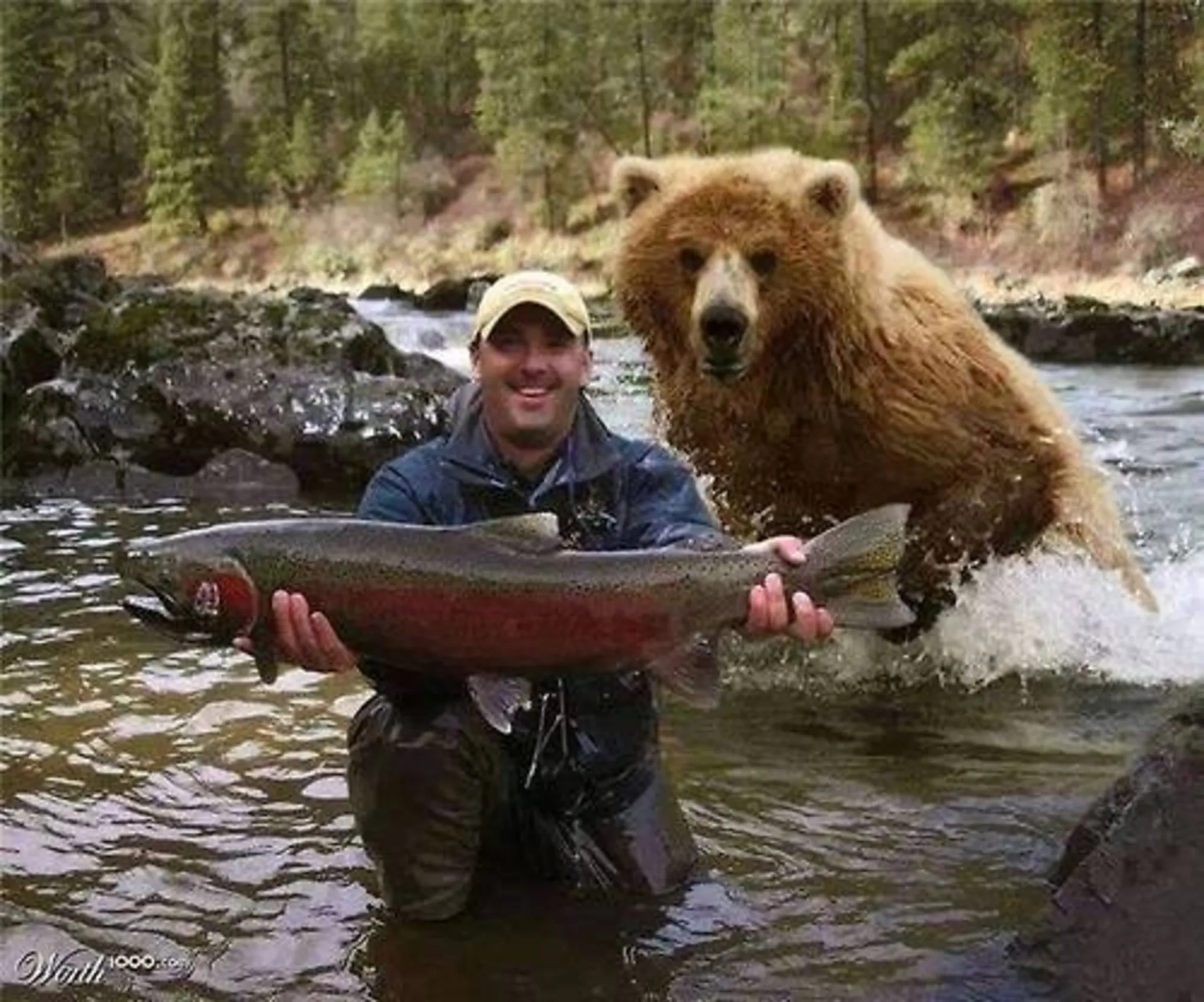 Man Bear Fish 