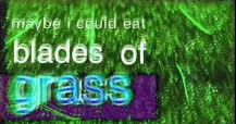 Maybe I could eat blades of grass 