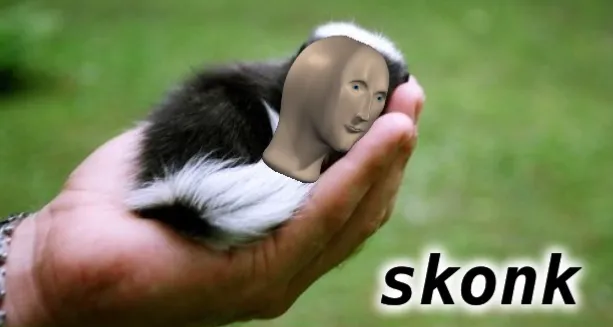 Meme man skonk 