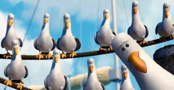 Mine seagulls 