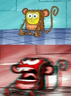 Monkey Spongebob 